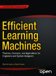 Efficient Learning Machines