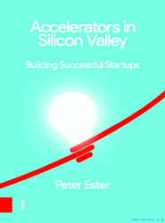 Accelerators in Silicon Valley