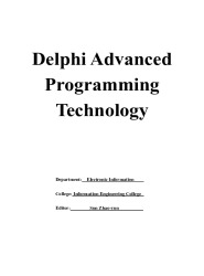 Delphi Advanced Programming Technology