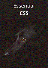 Essential CSS