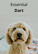Essential Dart