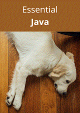 Essential Java