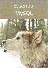 Essential MySQL