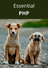 Essential PHP