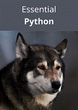 Essential Python