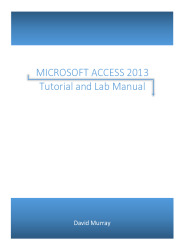 Access 2013 Lab manual